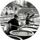 迎接来到公海,迎接来到赌船