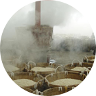 迎接来到公海,迎接来到赌船